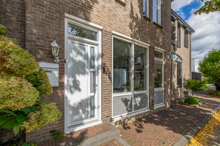 Foto 30 van Jacob van Deventerstraat 3