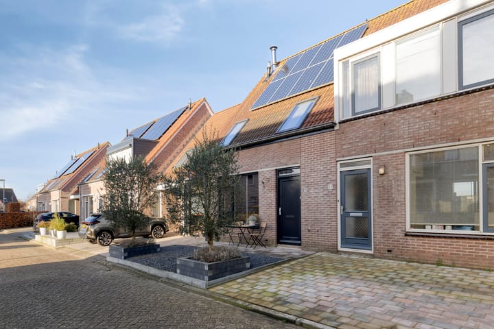 Foto 45 van Lepelblad 31