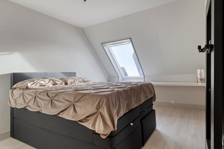 Foto 30 van Lepelblad 31