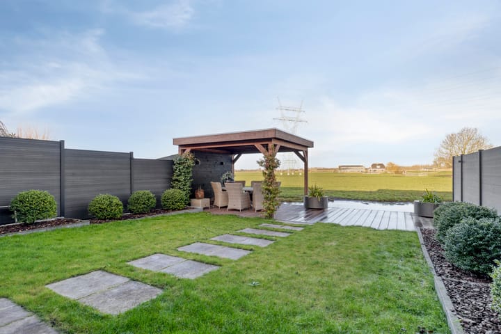 Foto 34 van Lepelblad 31