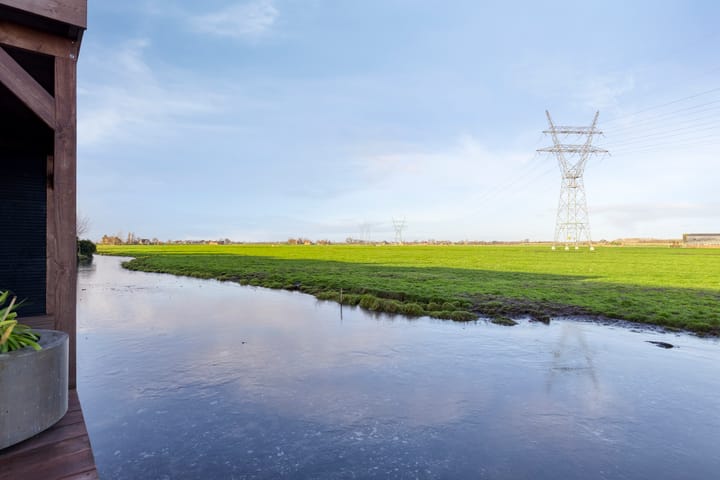 Foto 37 van Lepelblad 31