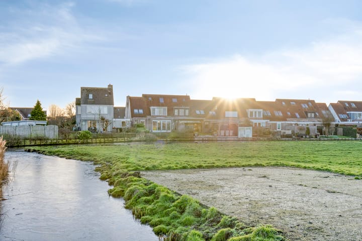 Foto 38 van Lepelblad 31