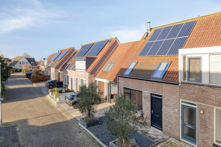 Foto 41 van Lepelblad 31