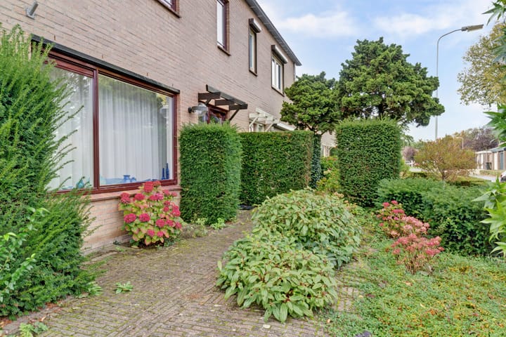 Foto 9 van Zadelmakerstraat 71