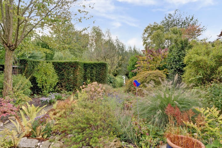 Foto 66 van Zadelmakerstraat 71