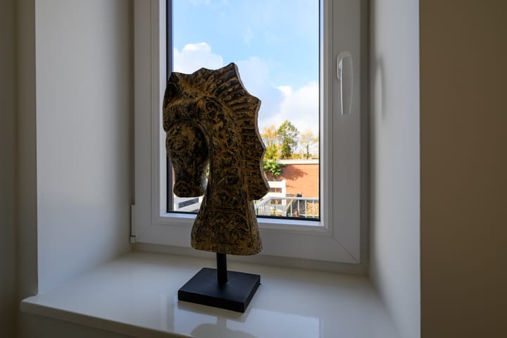 Foto 18 van Lopsenstraat 18-A