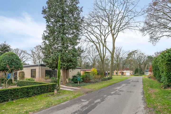 Foto 4 van Hoogveld 4