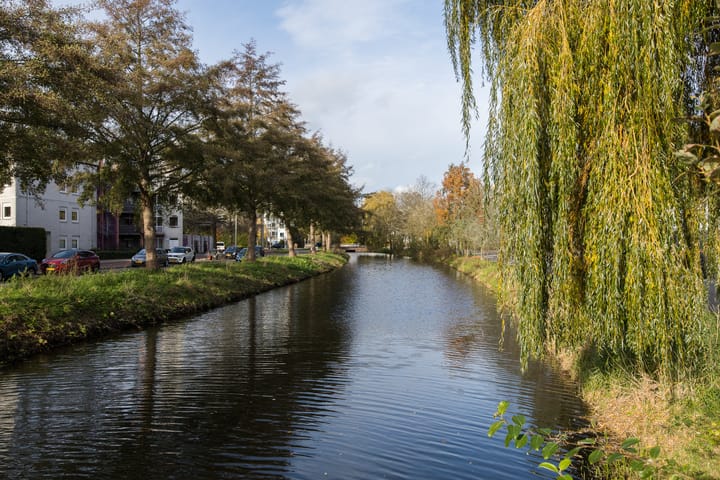 Foto 73 van Livarstraat 11