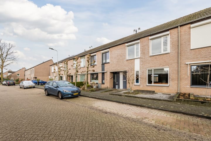 Foto 45 van Speenkruid 51