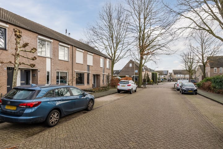 Foto 46 van Speenkruid 51