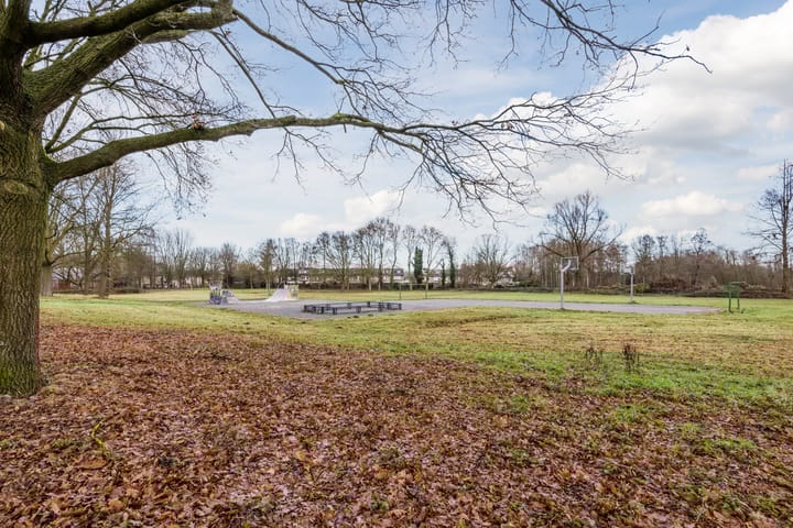 Foto 50 van Speenkruid 51