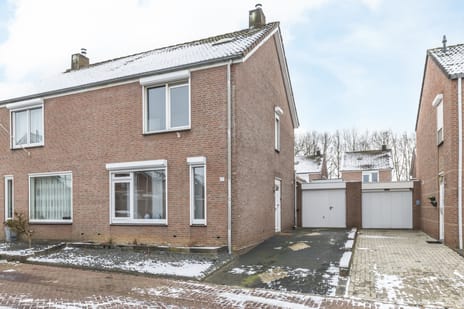 undefined main image