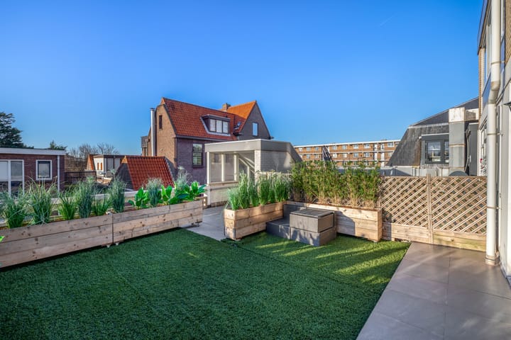 Foto 13 van Paardenstraat 41