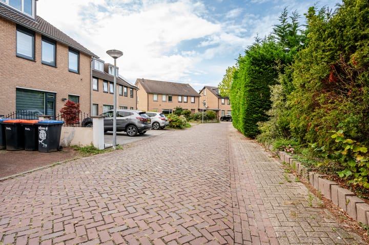 Foto 42 van Botter 38 18