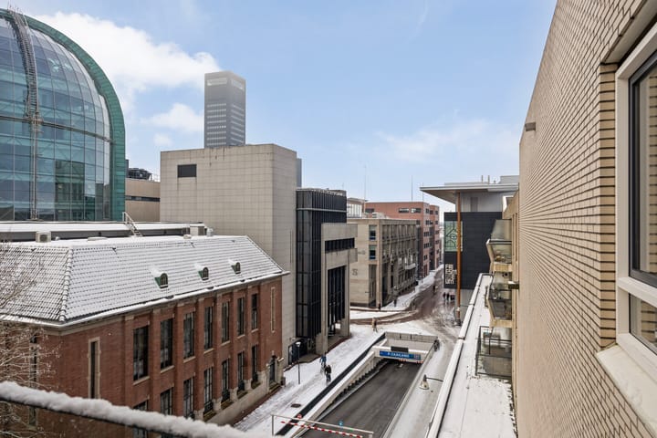 Foto 2 van Zaailand 225