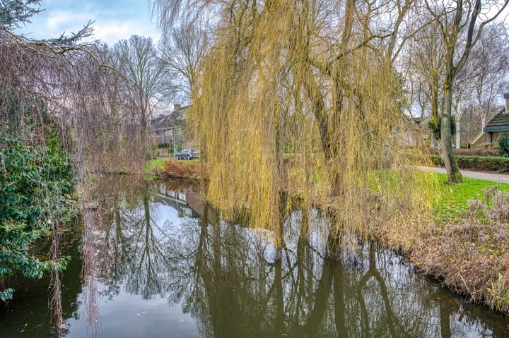 Foto 52 van Koggewaard 119