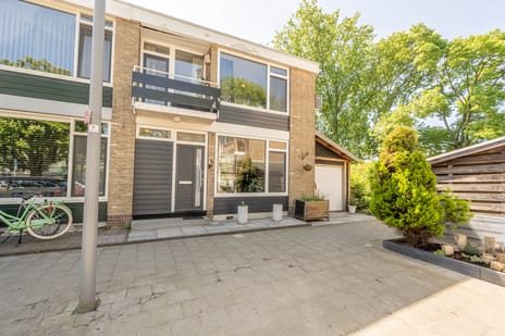 Pieter Woutersestraat thumbnail