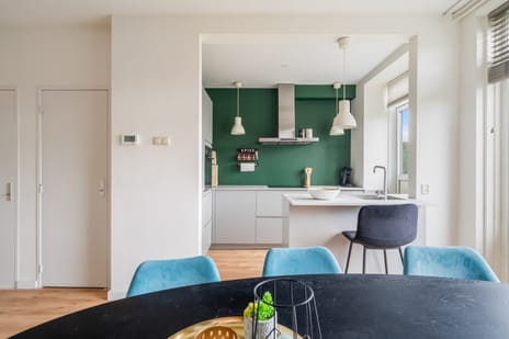 Dr H. Colijnlaan 174 tertiary image