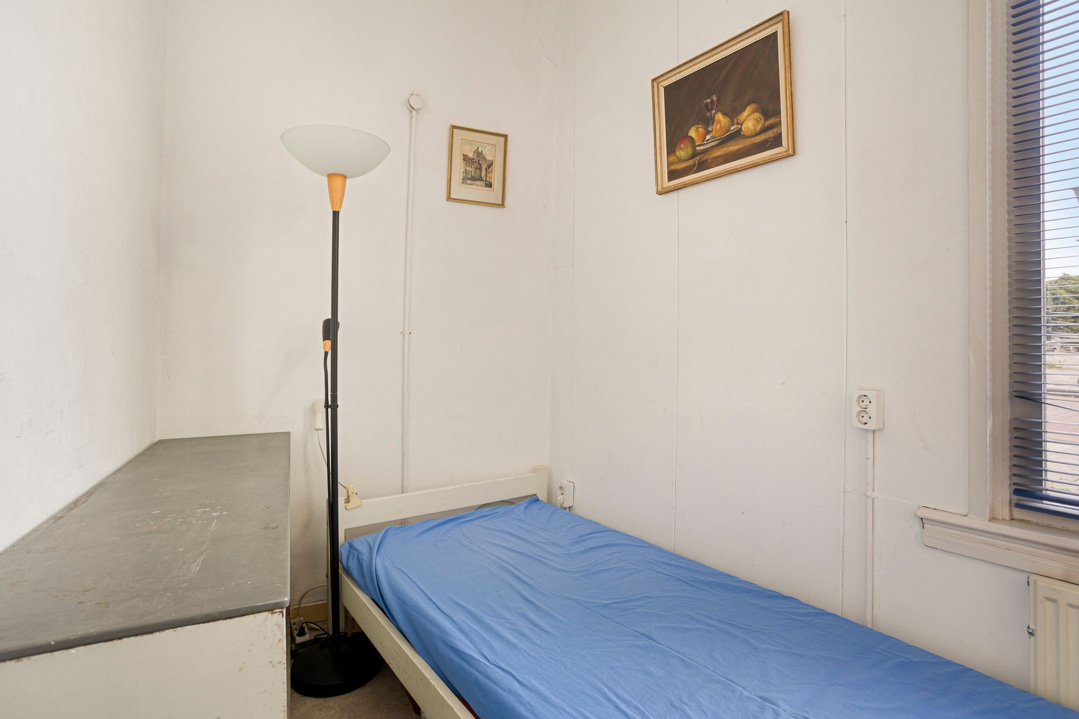 Foto 12 van Witte Singel 100