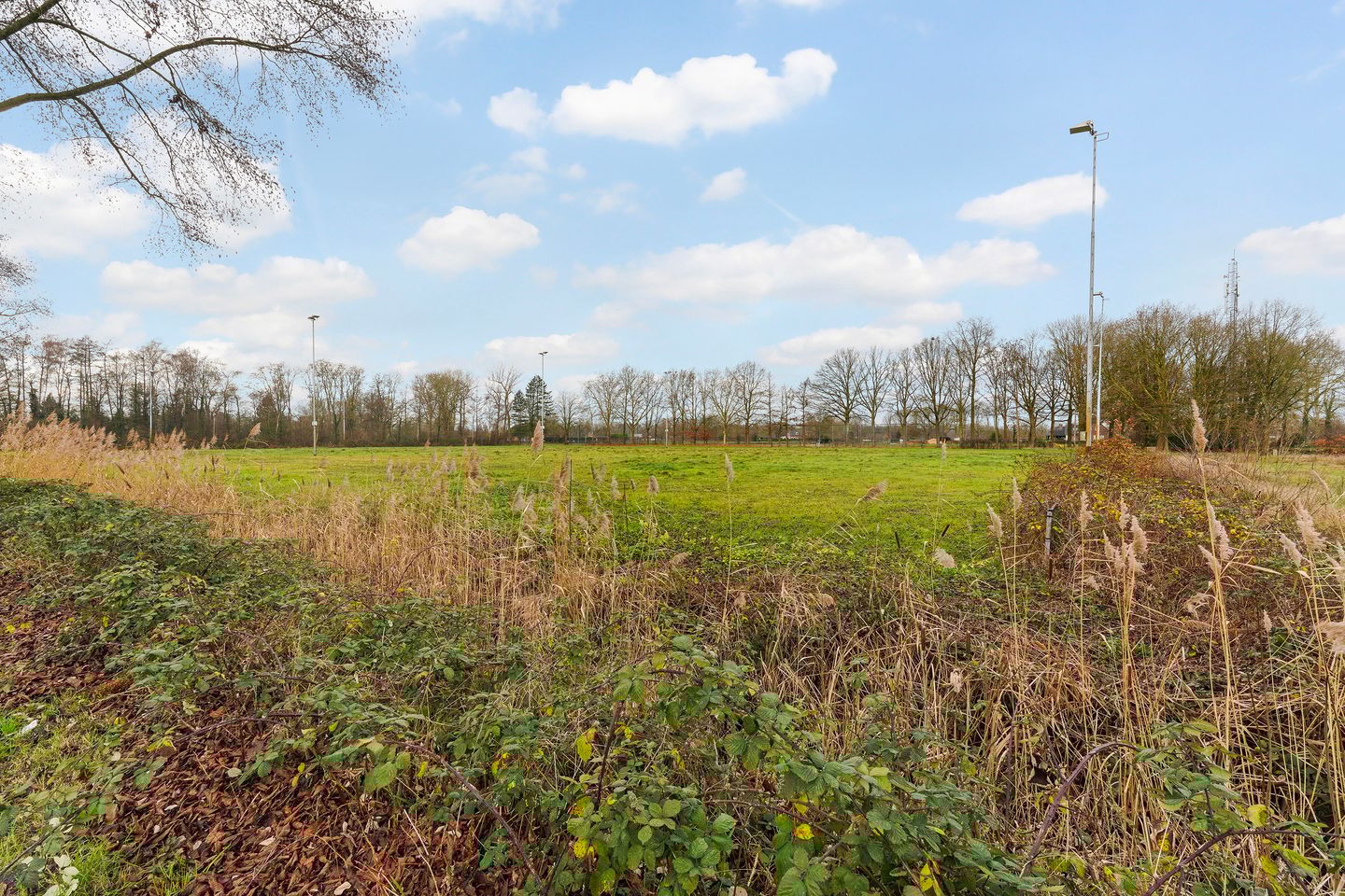 Foto 44 van Berkenlaan 129