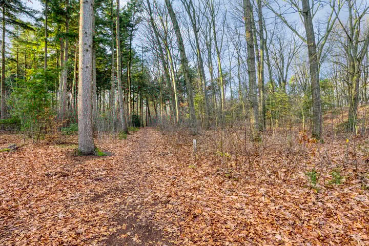 Foto 42 van Heidehof 6