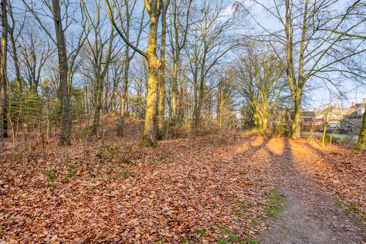 Foto 43 van Heidehof 6