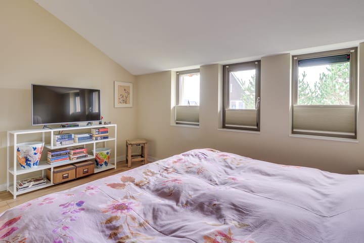 Foto 34 van De Scheifelaar 331