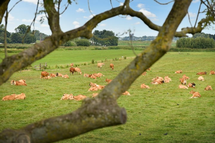 Foto 26 van 't Nopeind 12-A