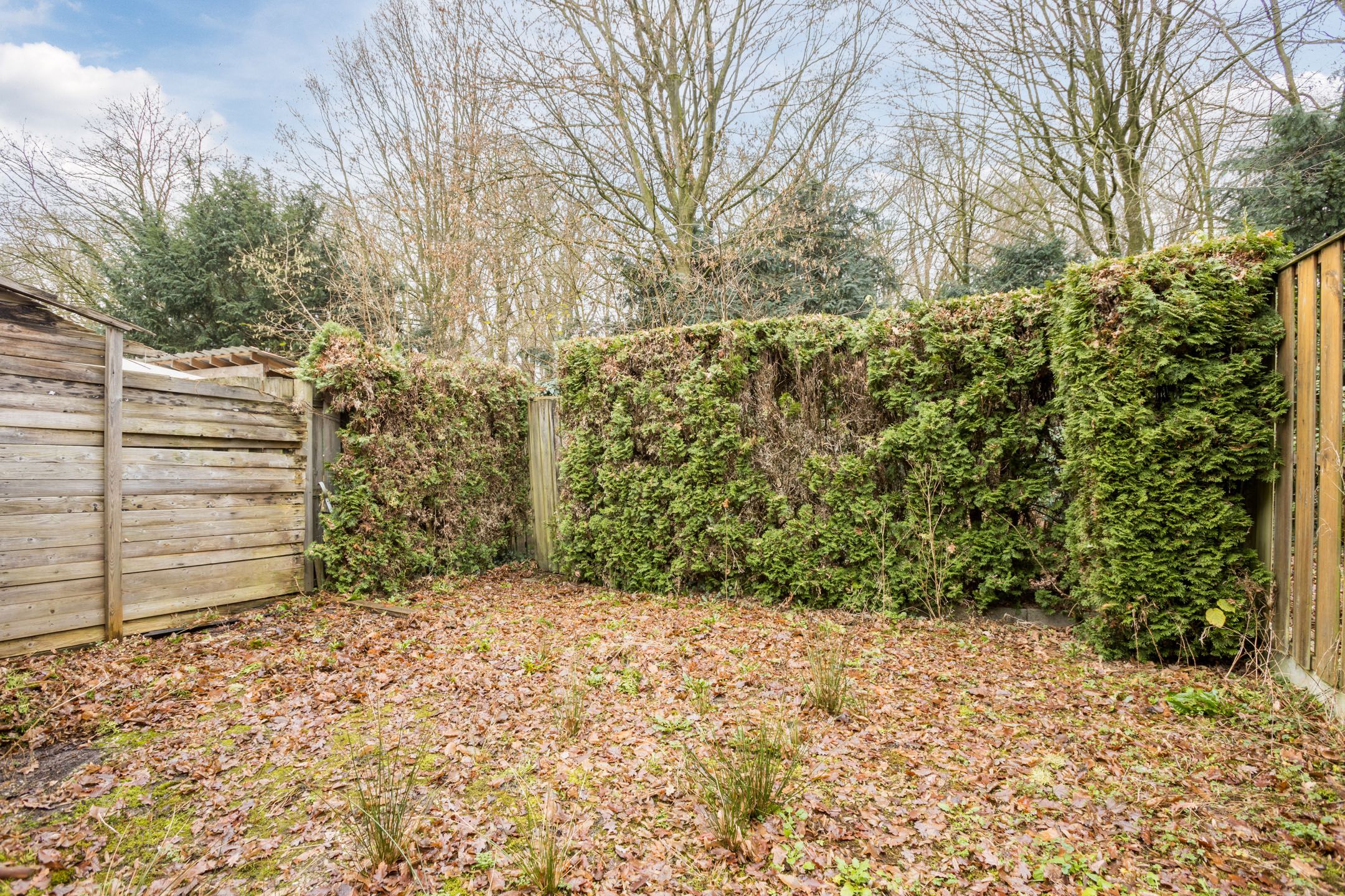 Foto 39 van Hofkamp 189