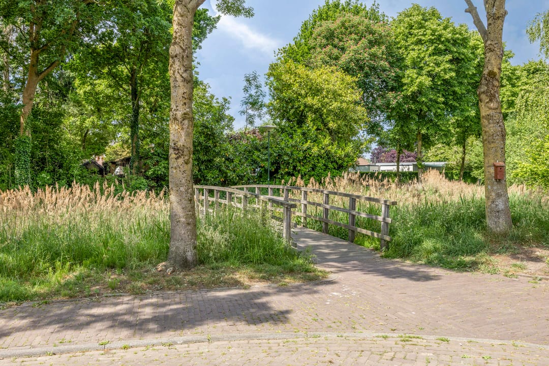 Foto 32 van Ogentroost 1