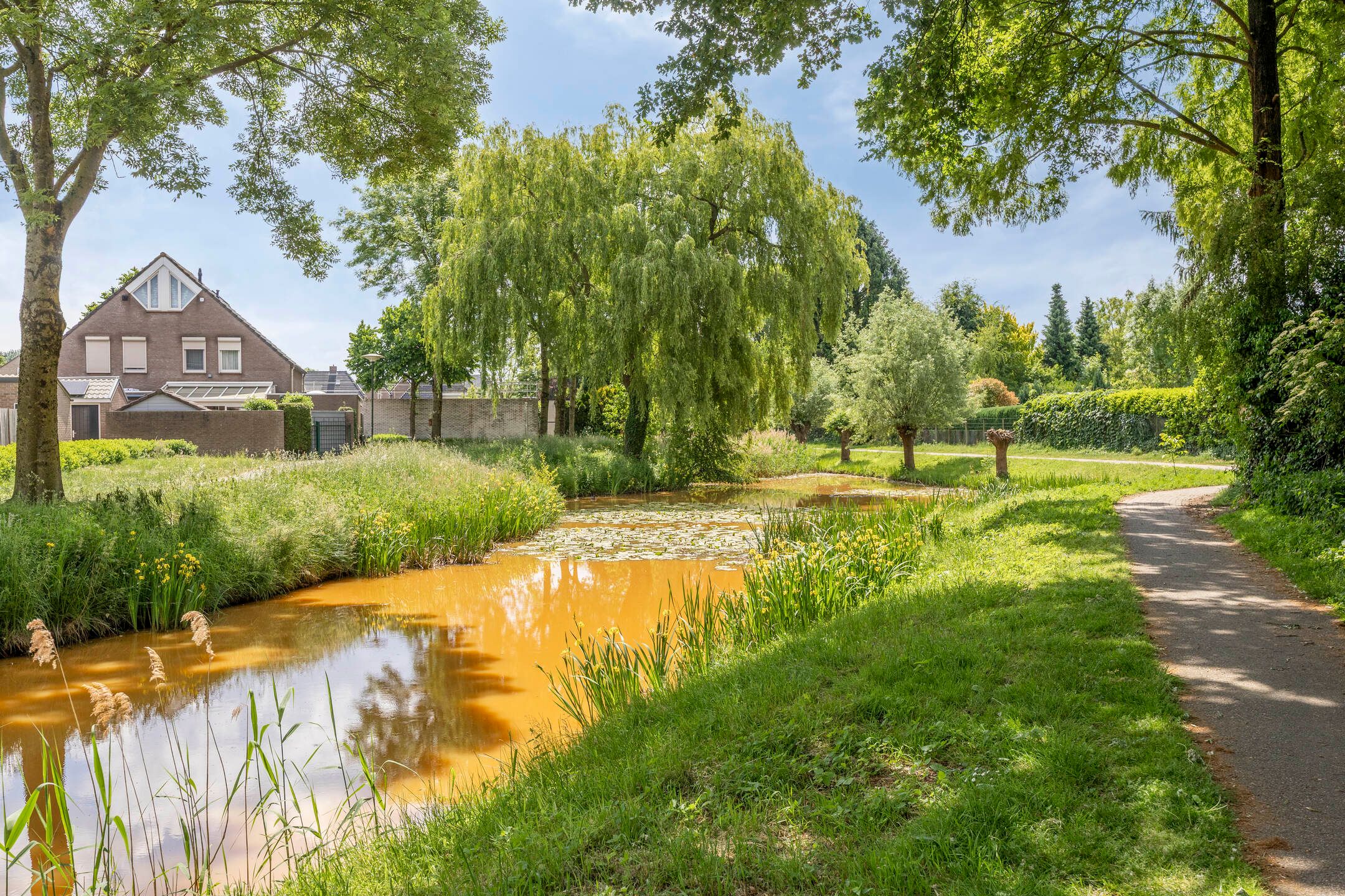 Foto 33 van Ogentroost 1