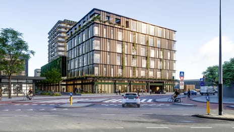 Dear North main image