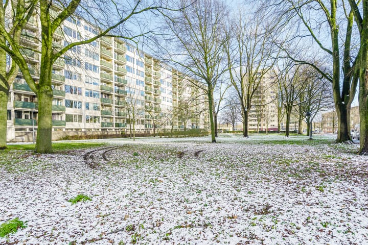 Foto 6 van Ierlandstraat 58