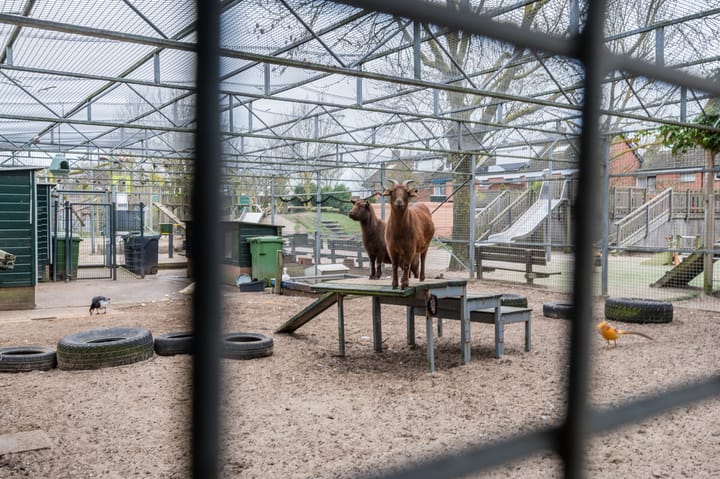 Foto 42 van Centuriedreef 2