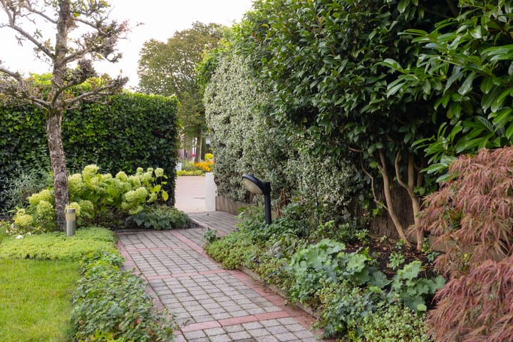 Foto 46 van Pasbree 74