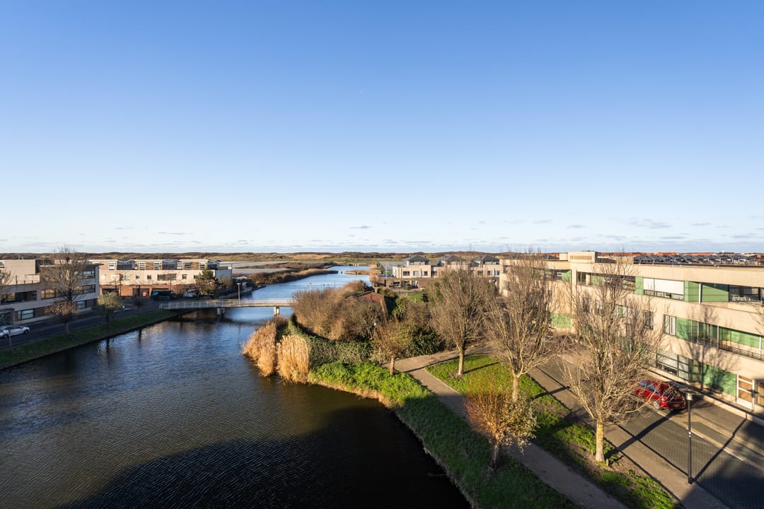 Foto 22 van Slangekruid 119