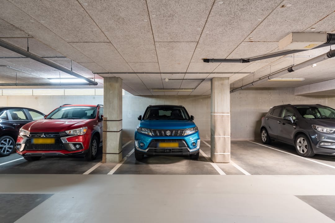 Foto 37 van Slangekruid 119