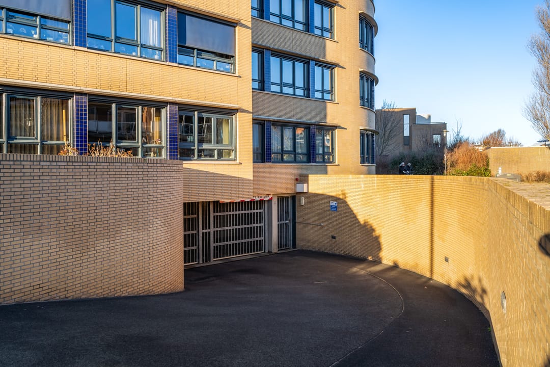 Foto 38 van Slangekruid 119