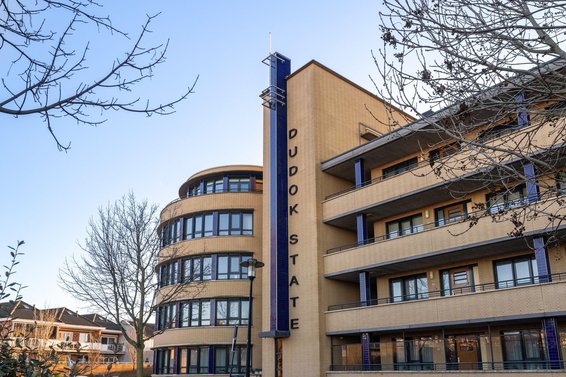 Foto 39 van Slangekruid 119