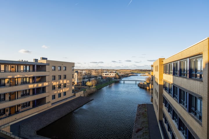 Photo 41 of Slangekruid 119