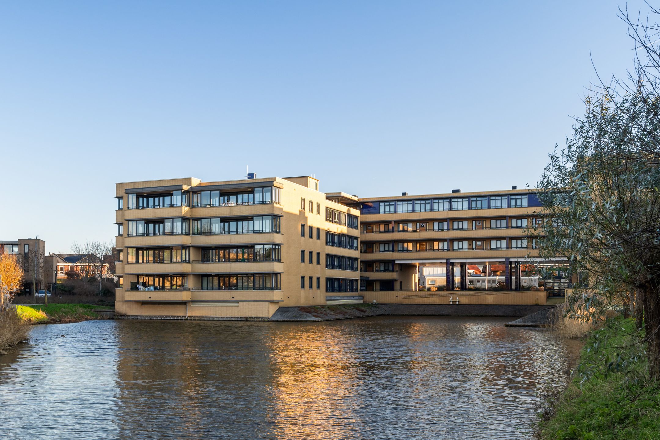 Foto 42 van Slangekruid 119