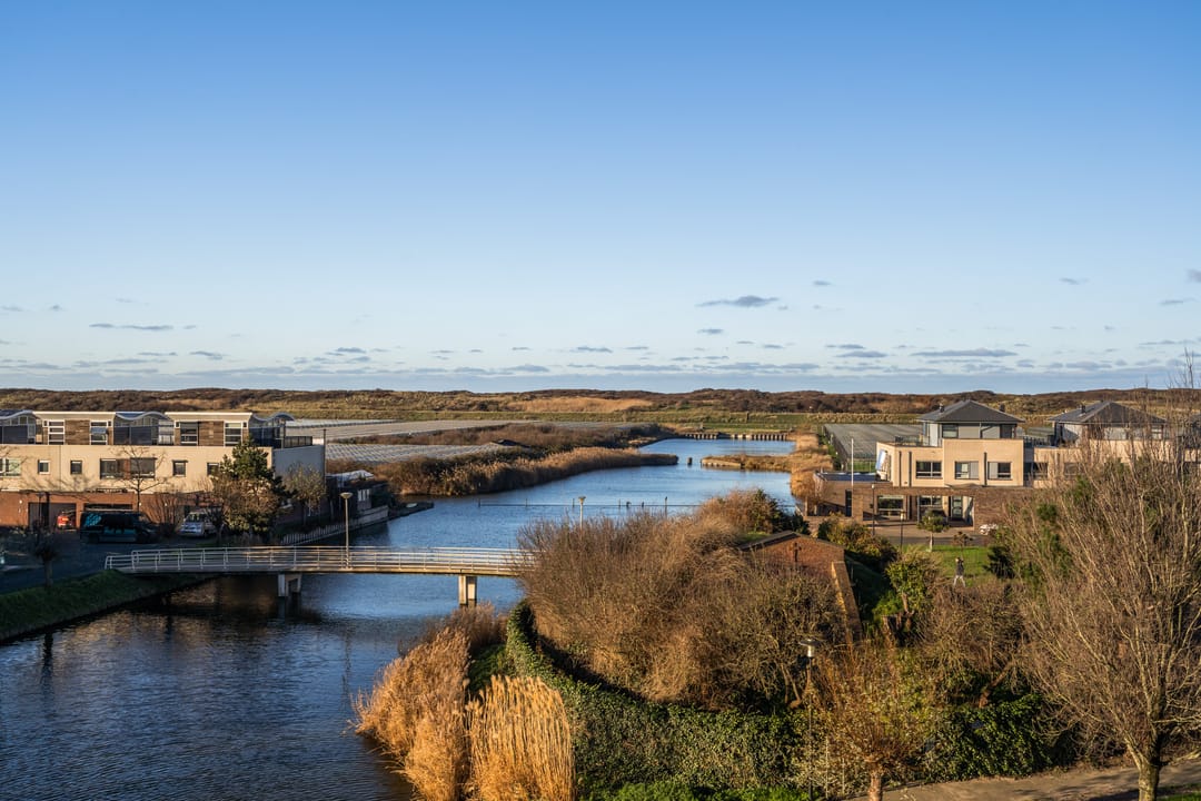 Foto 43 van Slangekruid 119