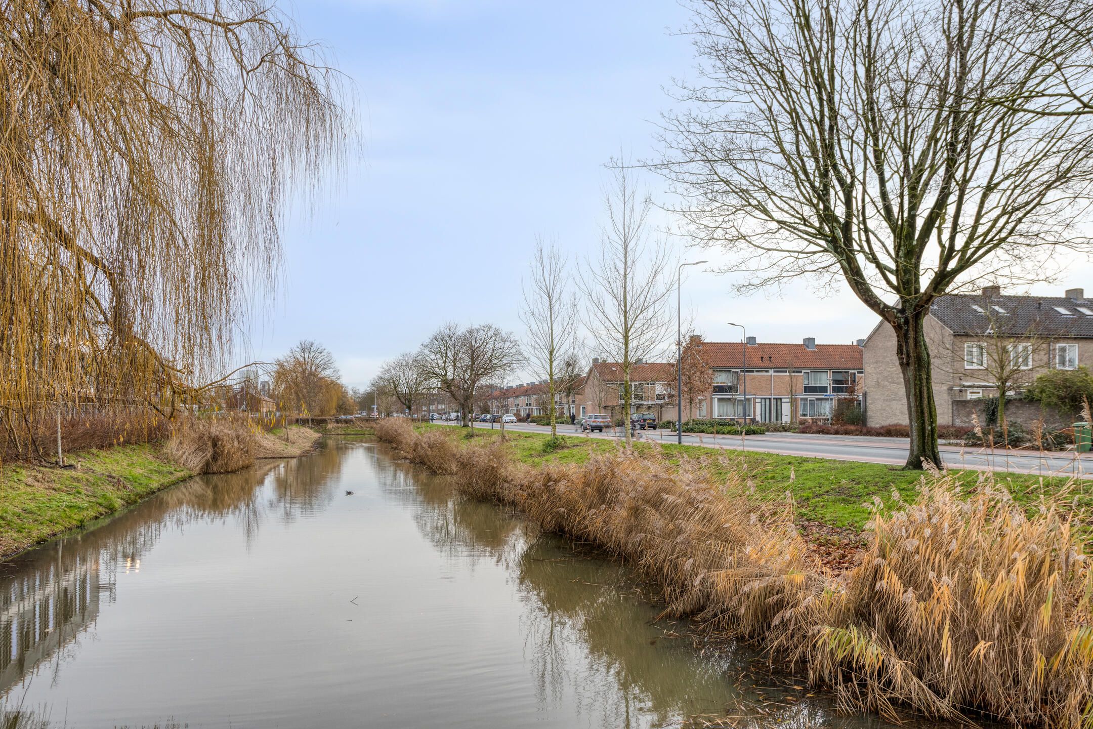 Photo 24 of Boschmeersingel 101