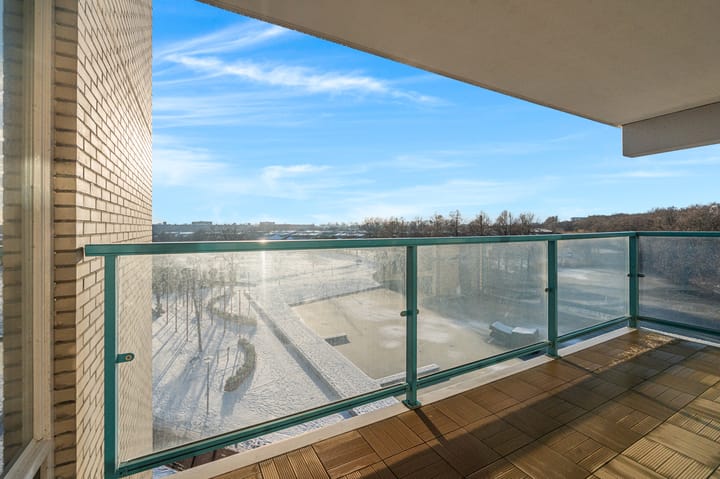 Photo 17 of Hamontstraat 50