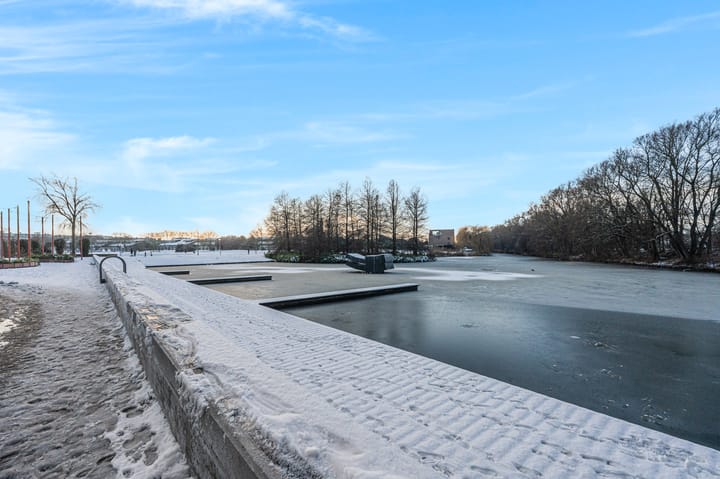 Photo 21 of Hamontstraat 50