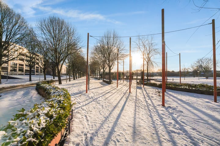 Photo 25 of Hamontstraat 50