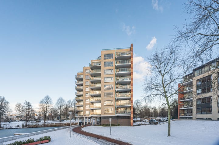 Photo 24 of Hamontstraat 50