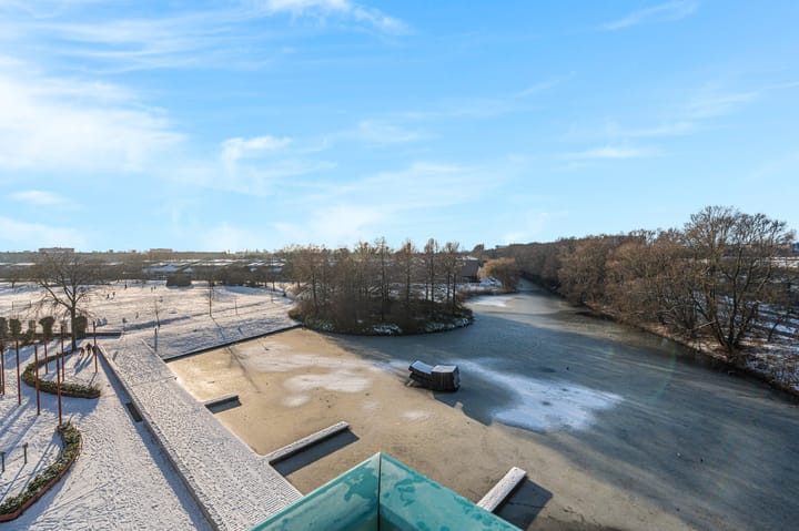 Photo 19 of Hamontstraat 50