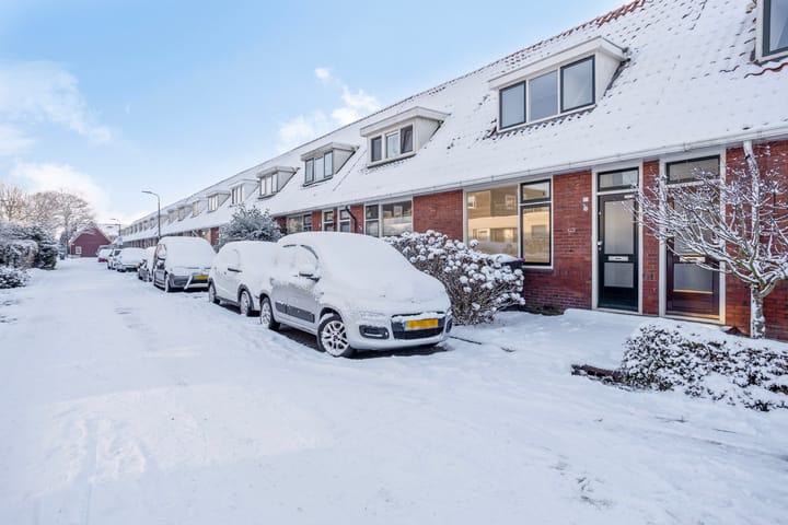 van Loonstraat 45