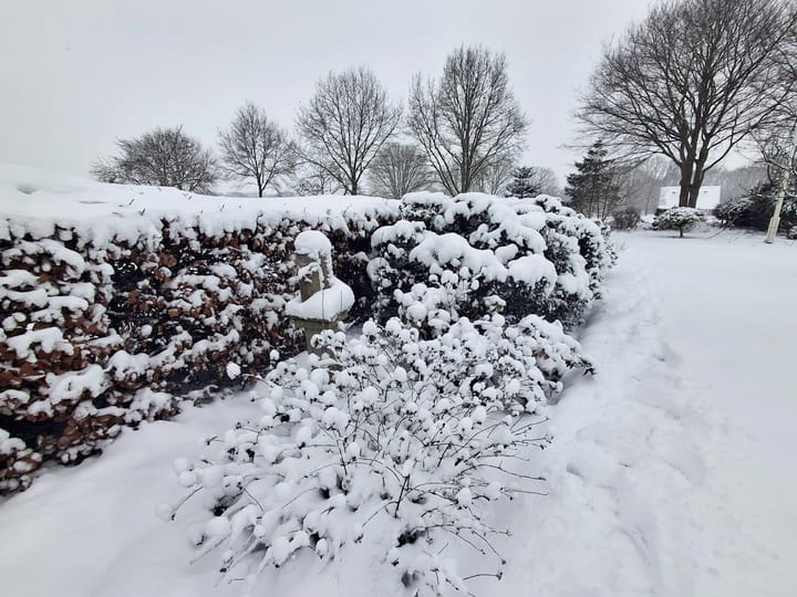 Foto 81 van Middelveenseweg 12